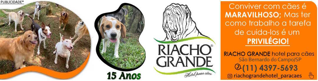 Riacho Grande Hotel Para Cães