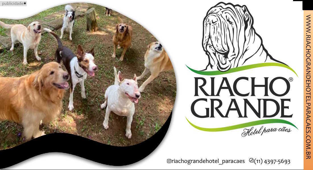 Riacho Grande hotel e creche para cães